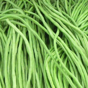 LONG BEAN