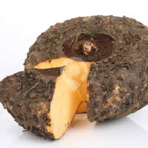ELEPHANT YAM