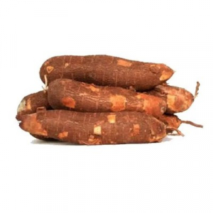 TAPIOCA