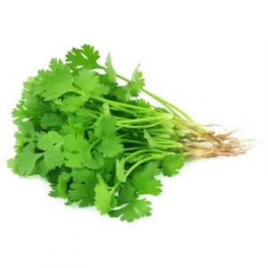 CORRIANDER LEAVES