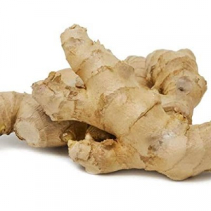 GINGER