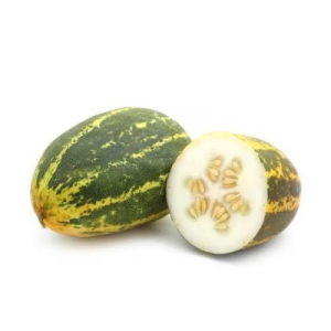 CUCUMBER