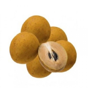 CHIKKOO