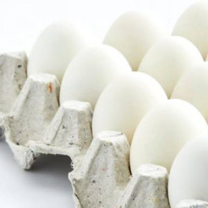 EGG